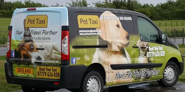 Guide to Pet Taxi Service
