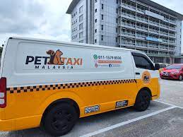 Guide to Pet Taxi 