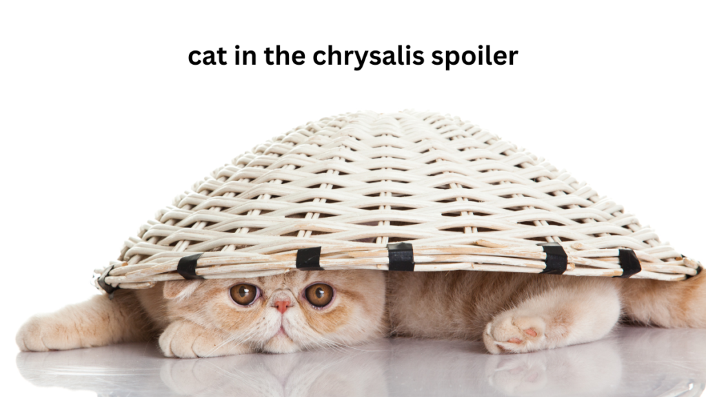 The Essence of "Cat in the Chrysalis"